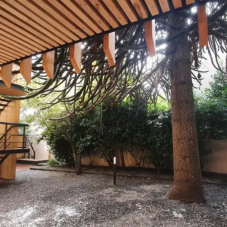 Hermoso Monoambiente De Diseno Unico, Con Patio, En El Centro De Sma. 4V5 San Martin de los Andes Exterior photo