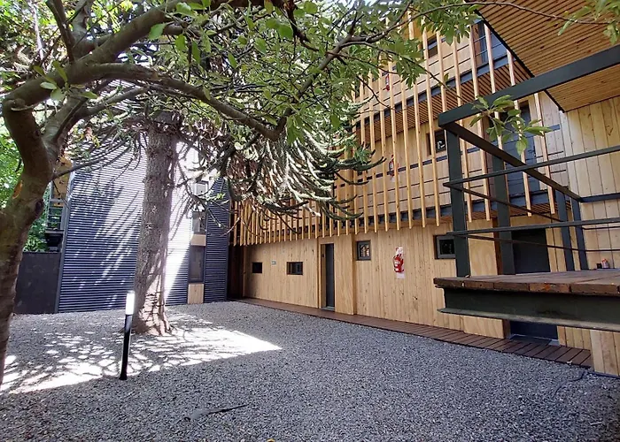Hermoso Monoambiente De Diseno Unico, Con Patio, En El Centro De Sma. 4V5